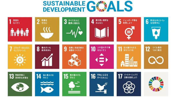 sustainable development goals(持続可能な開発目標)